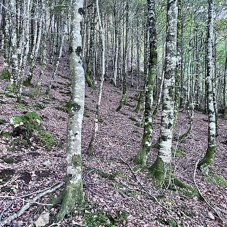 Apartmán Behorleguy 4 Personnes